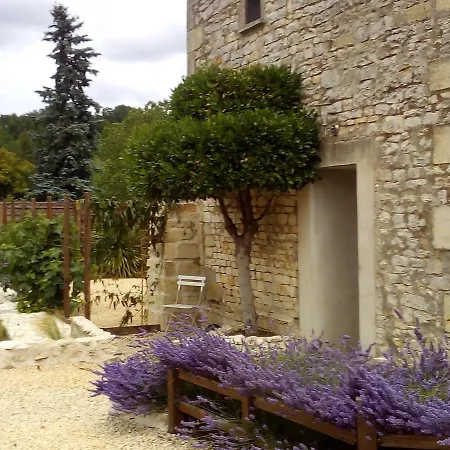 Hébergement de vacances La Maison Tumtum Arbre Loudun