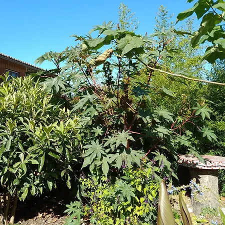 La Maison Tumtum Arbre *