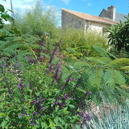 La Maison Tumtum Arbre * Loudun