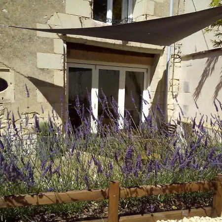 La Maison Tumtum Arbre Casa vacanze Loudun