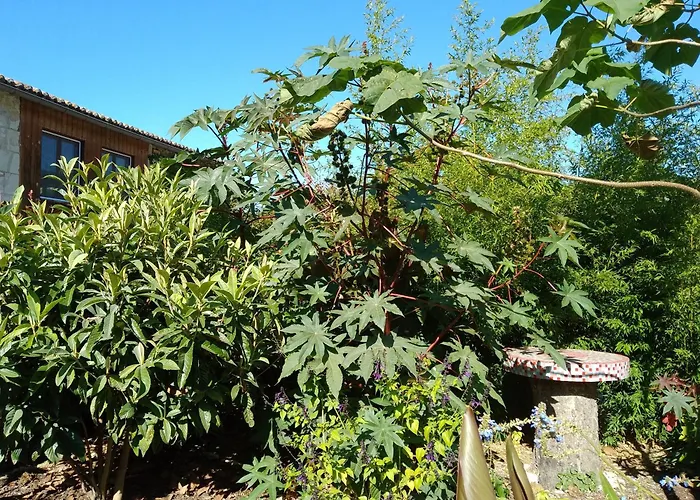 La Maison Tumtum Arbre *