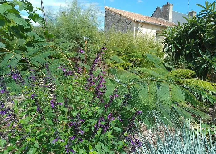La Maison Tumtum Arbre * Loudun